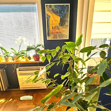 Apartament Art Downtown *